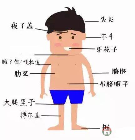 只有莒縣人才能看懂的人體構(gòu)造圖，好深?yuàn)W好羞澀