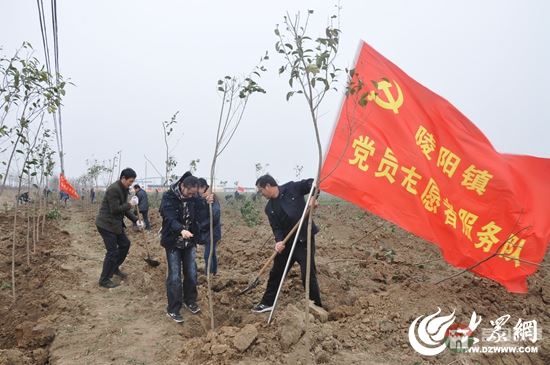 陵陽(yáng)鎮(zhèn)黨員志愿者在植樹