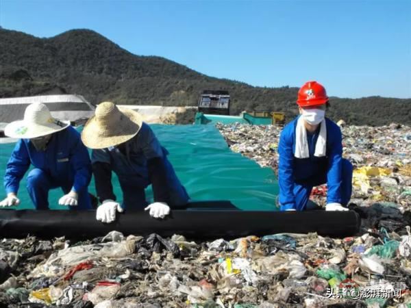 “逼瘋”上海人的垃圾分類背后，藏著中國人不知道的殘忍真相