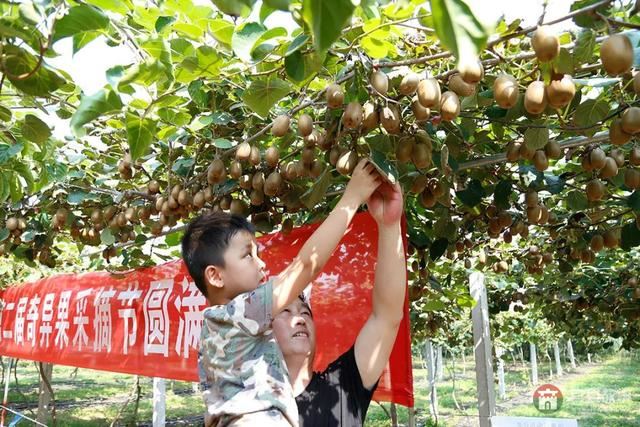 國慶假期莒縣最新“旅行情報圖”，為你泄密哪里“人從眾”