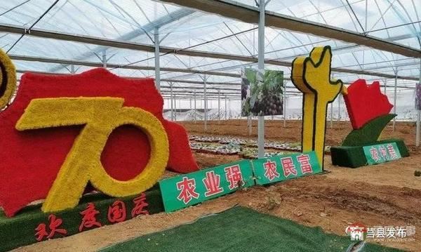 總投資1.2億元！莒縣這個“后花園”2020年上半年開門納客